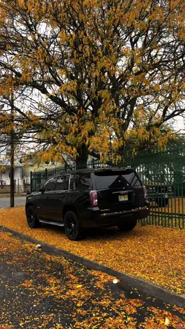 جر قلبي.   #اكسبلور #الشعب_الصيني_ماله_حل😂😂 #اكسبلورexplore #الهاشتاقات_للشيوخ #gmc #fyp #الاردن🇯🇴 #جمس_يوكن #السعودية #gmcyukon #الرياض_الآن #عمان 