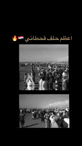 اعظم حلف 🔥🔥 #نوّح#سيبان#حضرموت#trend#explore 