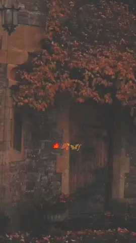 ..في نوفمبر طعم النوم يختلف طعم القهوه مميز | رائحه الحطب و [ المعطف الأسود ] ‎​ الجوارب الثقيله , والعطر , وحتى المواعيد !كل شيء مختلف 🦋🍂🍁 #نوفمبر #شتاء #مطر #تصميمي #CapCut #viralvideo #meme #like #foryou #fyp #viral ##ستوريات #حالات #حالات  @اســتــثــڼــائــۑْــہه 🤍 @🌿🤎 @أستاذه منوش 👩‍🏫🍃 