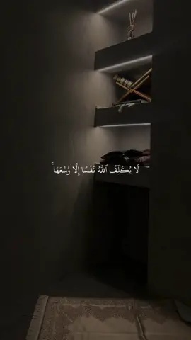 أرح سمعك وتدبر الآيات🤍#قران #مشاري_العفاسي #قران_صلي_علي_النبي 