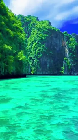 #musicainternacional #paisagem #frases #musicas #videos #musicatiktok #viralizanotiktok #foryoupage #international 