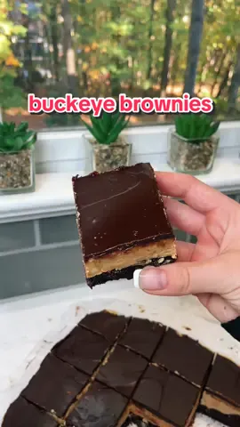best buckeye brownies 🍫🥜☕️🍁 #peanutbutter #buckeyebrownies #fallrecipes #christmas #thanksgiving #chocolate #baking #recipes #pinterest #brownies 
