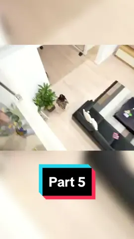 SOMEONE KEEPS KNOCKING ON OUR DOOR ON HALLOWEEN The Prince Family Clubhouse 