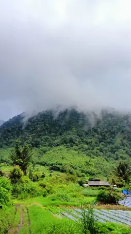 hatoras na sasudena...🤧 . . . #fyp  #lirik  #fypage  #podanauli  #lirikbatak  #musikdaerah  #trending  #viral  #bataksong  #sukamusik  #shorts  #lagudaerahindonesia  #cintamusikbatak  #horas  #vibes  #aquaairpower 