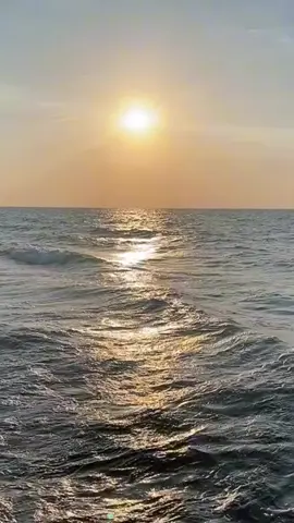 #اكسبلور # تصدقي مره نسيتك # محمد عبده#