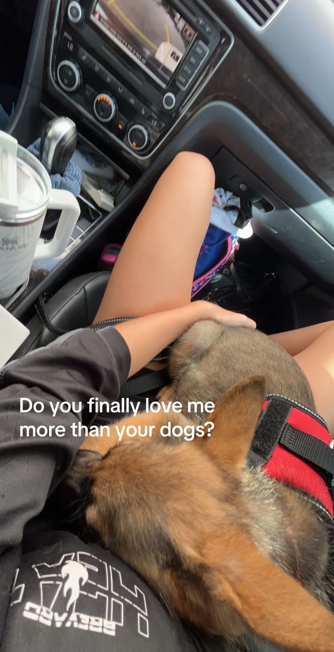 My babies🥹 #hashbrown #livelaughloverocks #bubblebubblewhatsyourbreed🎶