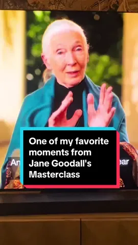 Replying to @Tabor Place one of my favorite moments from Jane Goodall's masterclass @MasterClass #spirituality #animalintelligence 