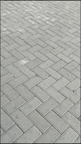 wayahe sounde wong pabrik'an tampil   #fyp #fypシ #kulipabrik #pabriklamongan #olymplast #olympics  #ptcahayabintangplastindo #lamongan #ptcahayabintangolympic 