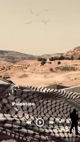 أنا الشعب يل تسأل🇵🇸💚 - - #فلسطيني_الهوى #فلسطين #غزه #فيديوهات 