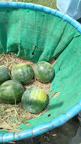 pejuwang rupiah tetep semangat💪💪💪