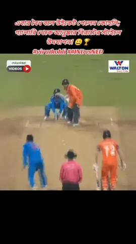 এবার বৈধ বলে উইকেট পেলেন কোহলি; গ্যালারি থেকে আনুষ্কার বিরাটের স্টাইলে উদযাপন! #viratkohli#anushkasharma#INDvsNED #CWC23 🏆😀 