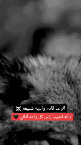 #عبارات_جميلة_وقويه😉🖤 #عبارات_حزينه💔 #ستوريات_متنوعه #عبارات_جميلة_وقويه_اقتباسات_هلوسات #الشعب_الصيني_ماله_حل🖤☠️ 