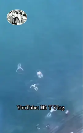 Cho đi ăn rồi còn thắc mắc #hàt #cọt #hàtvlog #hatlongtieng #lồngtienghaihuoc #thửthachhat #xuhuong #xuhuongtiktok #meme #memes #hàihước #dog 