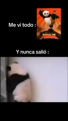 #parati #viral #contenido #meme #kunfupanda 