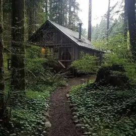 dispersed in the forest  #forest #aesthetic #peasantlife #life #wood #houseinthewoods #house #houseinthetrees #pinterest #photo #cottagelife #livealone #cottagecore #fyp #viral #foryoupage #fyppage #viralvideo 