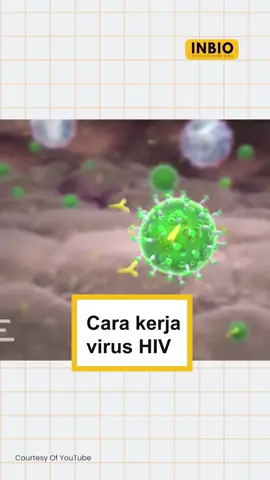 Cara kerja virus HIV