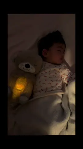 #schlummerotter 😴😴 #fpy #teddybear #respira #peluche #breathingotter #breathingteddy #orsettocherespira #peluchecherespira #baby #pourtoi #bebe 