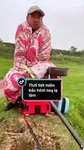 Tình hình Ae ngoài bắc hôm nay đi câu 😂 #nghiencauca #cauca #fishing #dammecauca #caucagiaitri #fishinglife #trending 