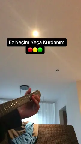 Jetzt gehts ab #kurd #kurdisch #kurdischemusik #kurdish #kurdishmusic #stranenkurdi #muzikakurdi #kürtçeşarkılar #kürtçe #keşfet #seniniçin #kürtçemüzik #fürdich #hozandiyar #aynurdoğan #sehribanakurdi #kecakurda 