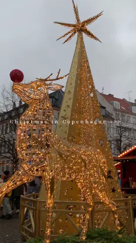 This is your sign to book a trip to Copenhague🎄⭐️🌟☃️ #CapCut  #copenhague #tivoli #tivolipark #tivoligardens #copenhaguetiktok #navidad #mercadillonavideño #viajar #viajenavideño #viajenavidad #wintertravel #christmas #alliwantforchristmas #snowman #christmasholiday 