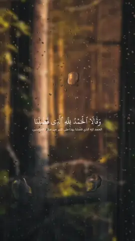 تلاوة من سورة النمل ♥️ #قرآن_كريم #قرآن_كريم_راحة_نفسية #اسلام_صبحي #ارح_سمعك_بالقران #سورة_النمل_اسلام_صبحي🖤 