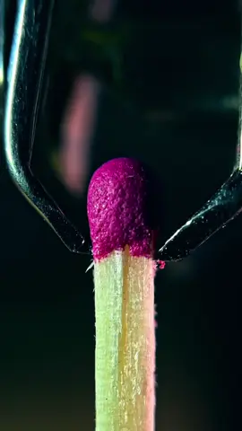 Trimmed The Match In Macro #closeup #asmr #satysfying #zoom 