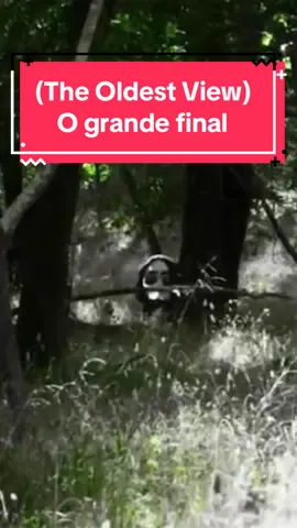Será que o Wyatt conseguiu escapar? [FINAL]. #theoldestview #kanepixels #thebackrooms #analoghorror