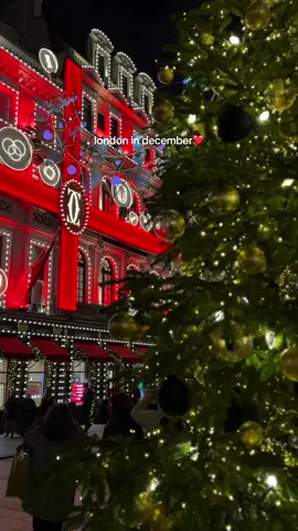 London in December❤️ #londonactivities #winterwonderland #winterinlondon #christmasinlondon #londonchristmas #thingstodoinlondon #christmas #christmasdecor  #christmasmarket #londontravel #visitlondon #snowinlondon  #uktravel #travellondon #whitechristmas 