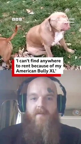 Sean, who has been living in a caravan with his two dogs, is calling for landlords to give more pet owners a chance. #AmericanBullyXL #BullyXL #StaffordshireBullTerrier #Staffy #Derby #Rent #RentalCrisis #Landlord #Caravan #BBCNews