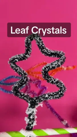 Watch crystals form like magic! ✨ Try this easy science activity, perfect for autumn crafts 🍁 Test out this STEAM activity! All you’ll need to make your own leaf crystals is: ✨ 1 box of salt ✨ Pipe cleaners ✨ Something for your leaves to hang onto ✨ A jar ✨ Water #STEAM #STEMExperiment #EYFS #ScienceForKids #STEMActivities #LearningThroughPlay #ActivitiesForKids #STEMForKids