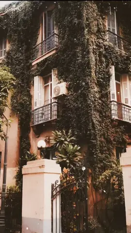 #بهاء_سلطان #وياك #ذكرايات #تسعينات #TravelTikTok #اجواء_الشتاء #مصر_السعوديه_العراق_فلسطين #استوريهات #حلات #رائج #مصر #طربيات #ComicCon 