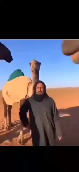 سيمن النياق ذلي#الشعب_الصيني_ماله_حل😂😂 #explore #foryou #ضحك_وناسة #fyp #طلعوه_اكسبلورر_فولو #meme #fypシ #هههههههههههههههههههههههههههههههههههههه