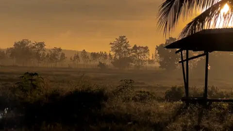 เมื่อยๆแบบนี้คิดฮอดบ้านเด้เนาะ😞🥹🌾#คิดถึงบ้านเกิด #วิถีบ้านนอกคอกนา #อีสานบ้านเฮา #บ้านเฮามันกะส่ํานี้ล่ะ #สตอรี่คิดถึงบ้าน 