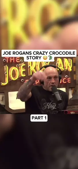 🐊🐊 part 1#joerogan #podcast #fyp #clips #crocs 