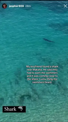 #sharkfound #makaha #oahu #sharks #warning 