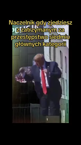 #polskapolicjarp #policja #mundurowka #policijosmemos #GU #7 #kategorii #naczelnikhappy #trump #makepolicjagreatagain 