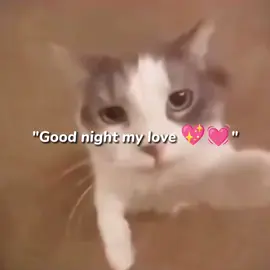 #Meme #MemeCut love tulog kna sweetdreame's love 💓💓