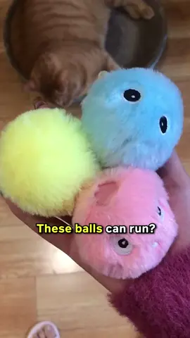These balls can run??? And chirp too!! 😻 Link in my bio.