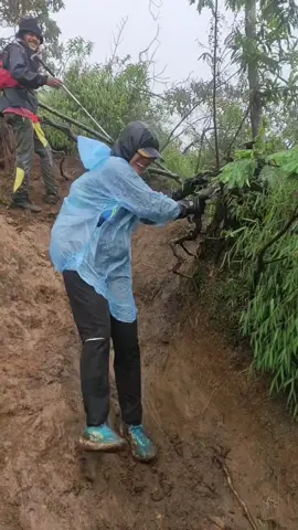 Track merbabu suwanting pas musim hujan emang bikin shinting 🥹😂 . . . #fyp #pendakian #pendakigunung #mountain #pendakicantik #merbabu #merbabuviasuwanting 