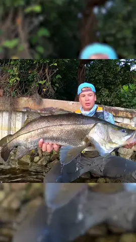 Still cannot believe this river giant 😳 #fyp #snook #fishing #fishtok #kayakfishing 