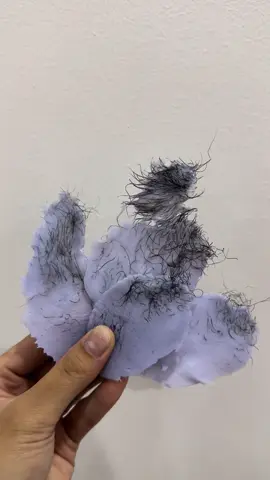 Cmt đúng có 🎁 #xh #xhtiktok #waxingvideos #waxing #waxlong 