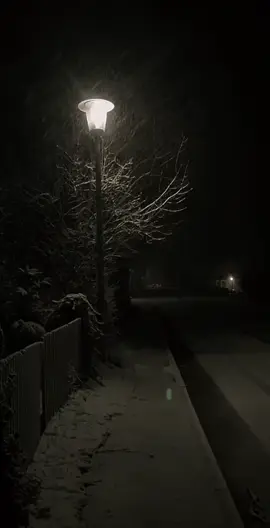 #shqipe_lyrics30 #lyrics #lyricsvideo #lyrics_songs #muzik #song #songs #viral #viralvideo #viraltiktok #llochi #papillon #fyp #fypシ 