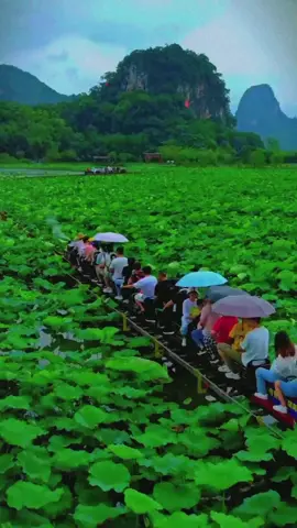 8 second of peaceful view ❤️#tiktokbangladesh🇧🇩 #trending #foryoupage #foryou #viraltiktok @TikTok @TikTok LIVE @Foryoupage @TikTok Tips @tiktokglobal 