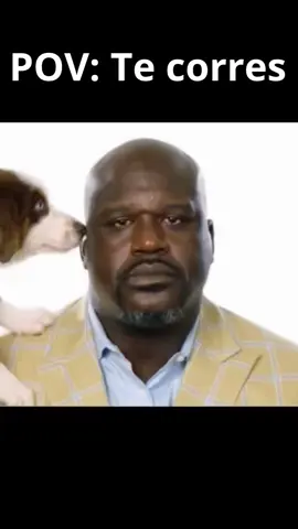 #funfestt #relatable #meme #memes #memestiktok #shaquilleoneal #shaq #memesrandom 