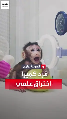 علماء صينيون يحتفلون بولادة كائن 