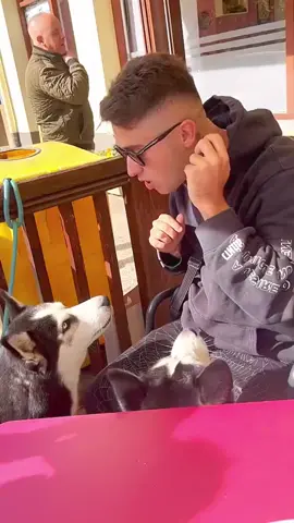 Nó học tiếng người được rồi  #haihuoc #giaitri #vuinhon #dogs #chó #pet #funny #funnydog #funnyvideo #pets #viral #dogsoftiktok #funnyvideos #fyp #dog #fypシ created by Loveanimals with Loveanimals's nhạc nền