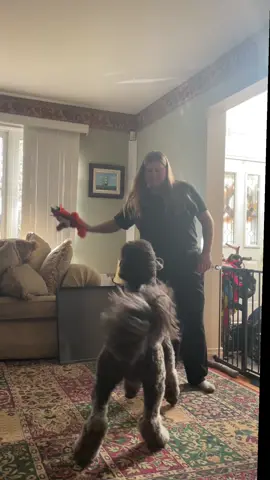 💃🏻💃🏻💃🏻
