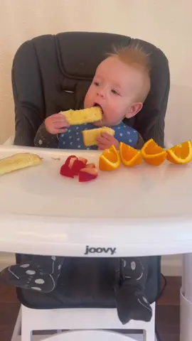No strawberries today but he managed to get his water by himself!👏🏻 #blw #babyledweaning #babyfood #babymeals #mom #momtok #momlife 