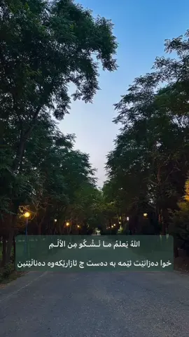 الله نعلم ما نشكو من الالم...  #الله #رعد_الكردي #quran #alla #fyp #foryou #رعد_محمد_الكردي #iraq #اكتب_شي_توجر_عليه #كركوك 