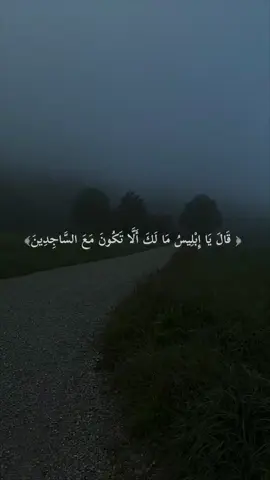 القارئ: #عمير_شميم #قران #quran #fyp #اكسبلور 